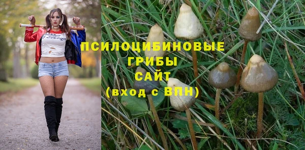 спиды Белоозёрский