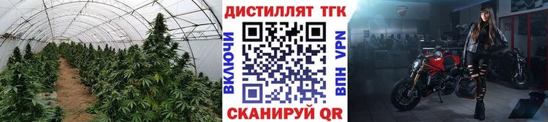 где продают наркотики Верхняя Пышма ТГК Wax
