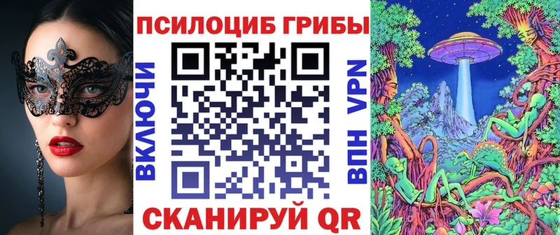 Псилоцибиновые грибы Psilocybe  Верхняя Пышма 